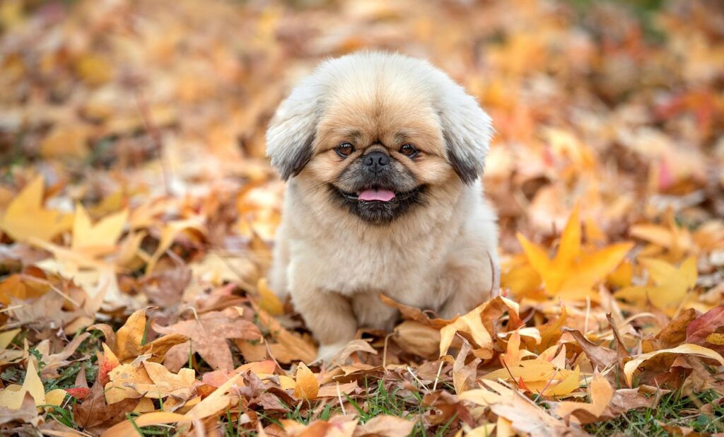 mentaliseringsguidenを活用した効果的な自己理解の方法は？