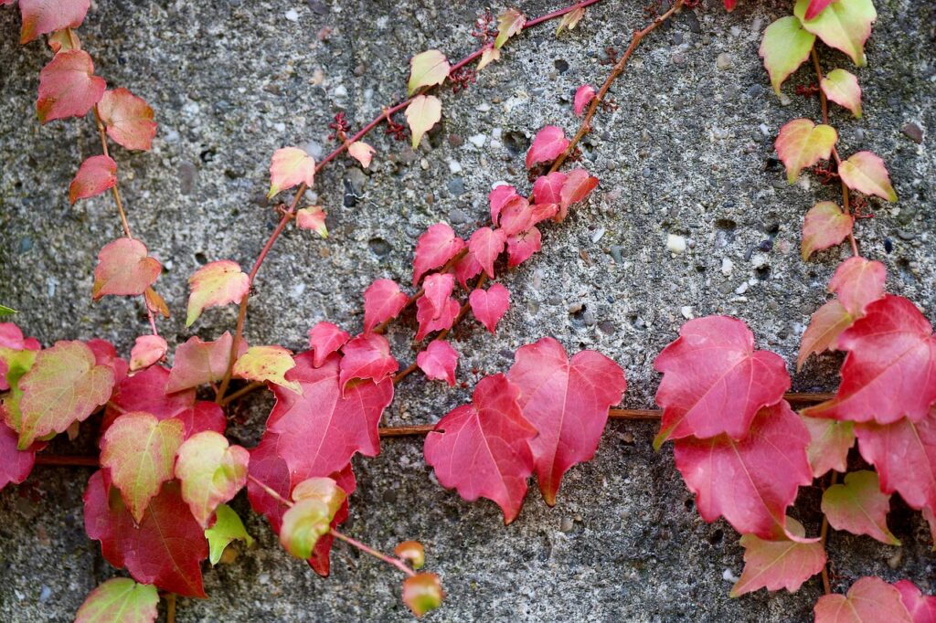 セルフコンパッションノートの効果的な書き方は？