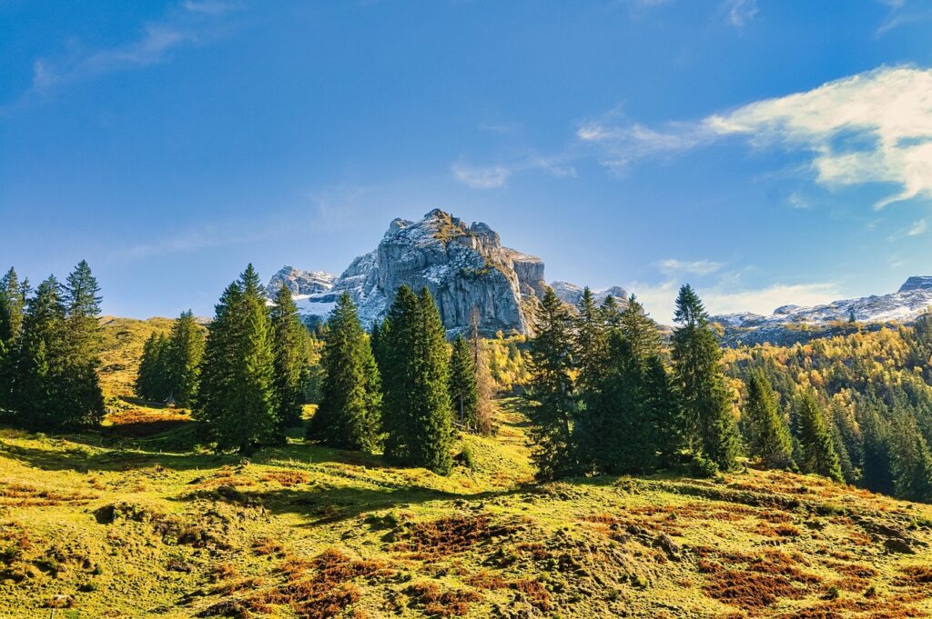 更年期の症状改善に役立つCBTの実践方法は？