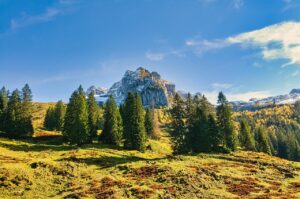 更年期の症状改善に役立つCBTの実践方法は？