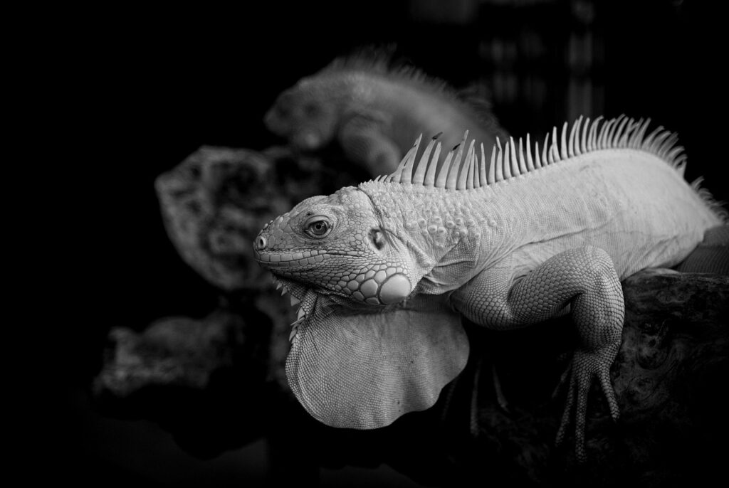 パニック障害を克服するためのCBTの体験談とは？