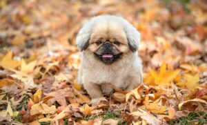 不安を解消するためのマインドフルネスのやり方は？