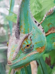 適応障害のカウンセリング費用はどのくらいかかるの？