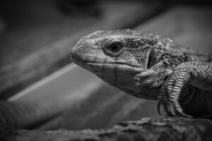 カウンセリングで得られる効果とその持続期間はどのくらい？