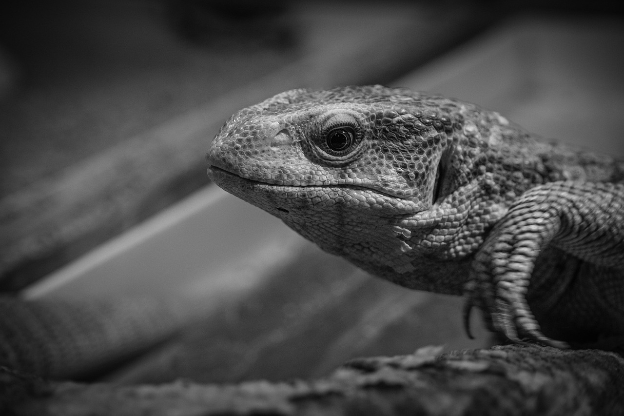 カウンセリングで得られる効果とその持続期間はどのくらい？