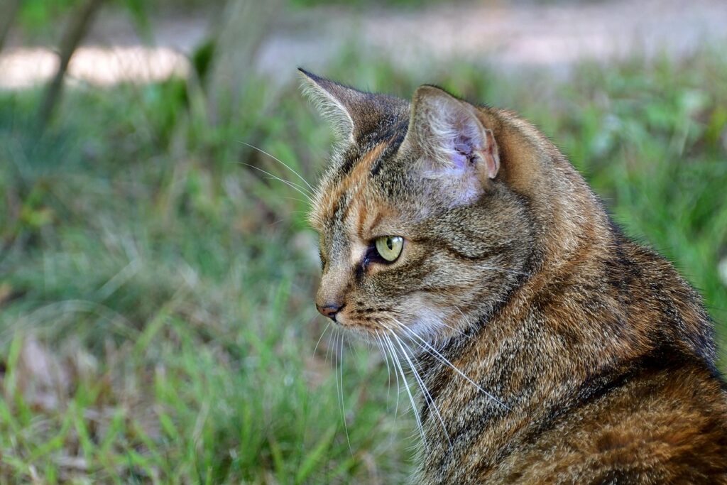 心療内科に行くべきか迷うときの判断基準は？