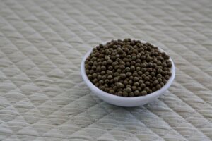 カウンセリングが苦手な人におすすめの方法とは？