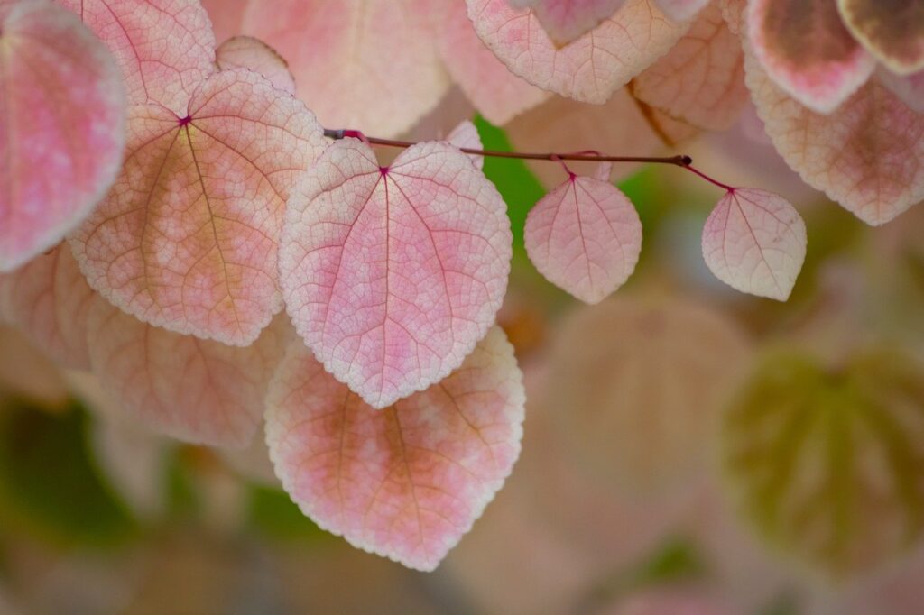 繊細な人が心を癒すための疲れやすい日常の乗り越え方は？