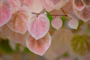 繊細な人が心を癒すための疲れやすい日常の乗り越え方は？