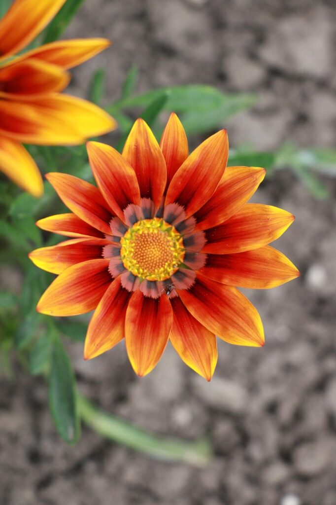 メンタル回復までの期間目安はどのくらい？