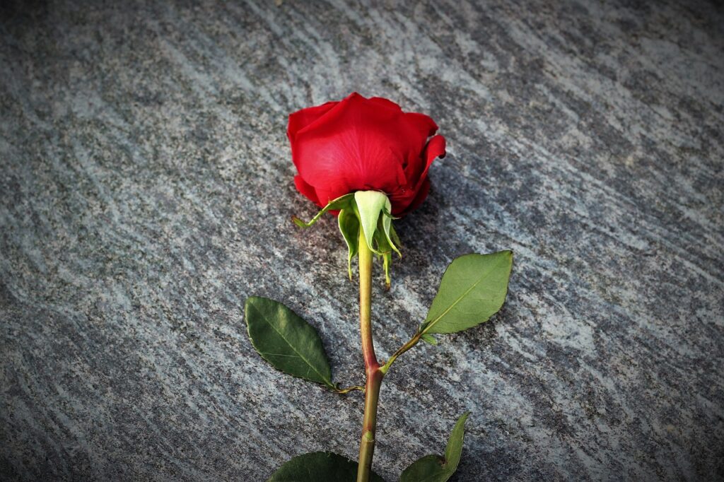 失恋立ち直れない時の対処法は何が効果的ですか？