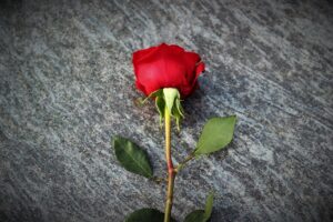 失恋立ち直れない時の対処法は何が効果的ですか？