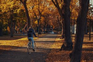 精神科予約前に準備することは何が必要？
