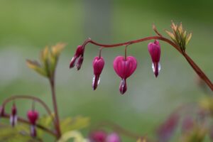 心の悩みを解決するための具体的な方法は？